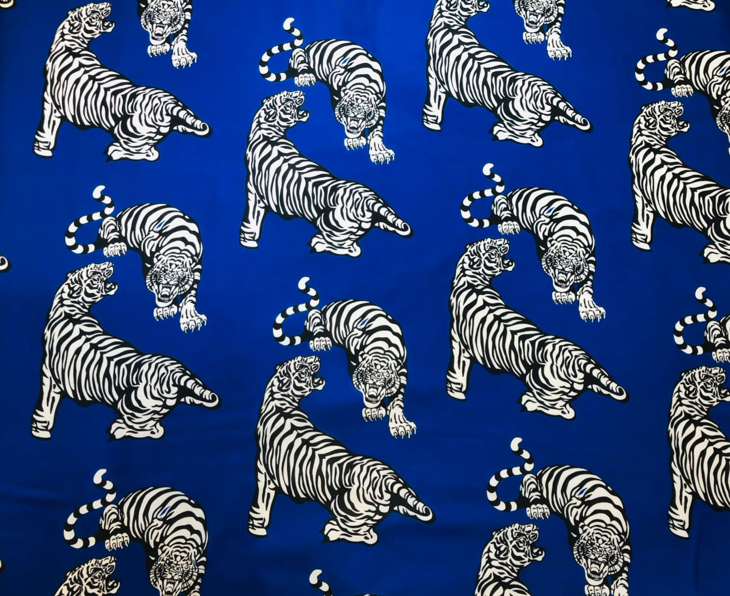 ROYAL TIGER BLUE ᴄᴜꜱᴛᴏᴍ